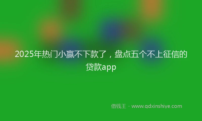 2025年热门小赢不下款了,盘点五个不上征信的贷款app