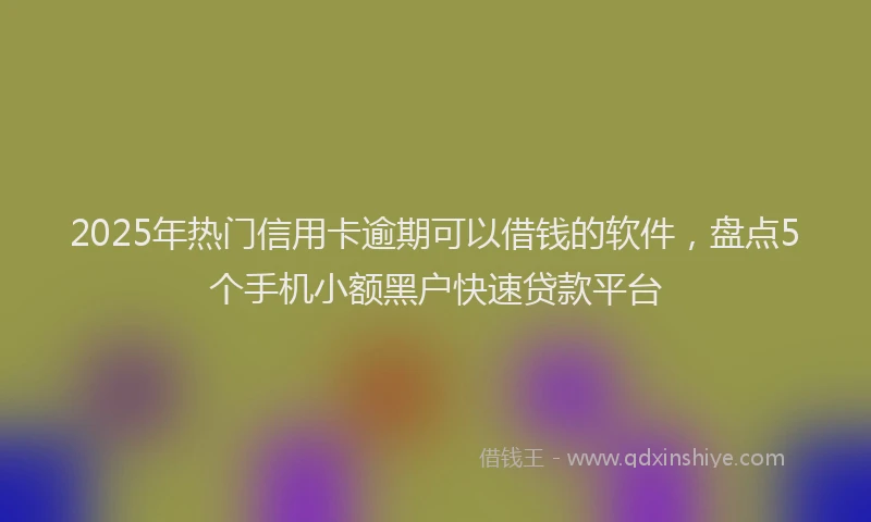 2025年热门信用卡逾期可以借钱的软件，盘点5个手机小额黑户快速贷款平台