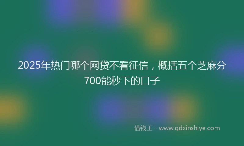 2025年热门哪个网贷不看征信，概括五个芝麻分700能秒下的口子
