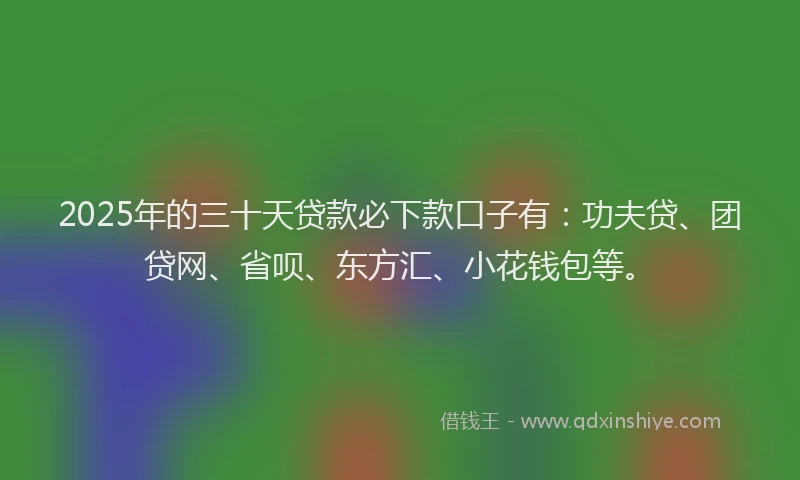2025年的三十天贷款必下款口子有：功夫贷、团贷网、省呗、东方汇、小花钱包等。