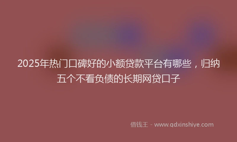2025年热门口碑好的小额贷款平台有哪些，归纳五个不看负债的长期网贷口子