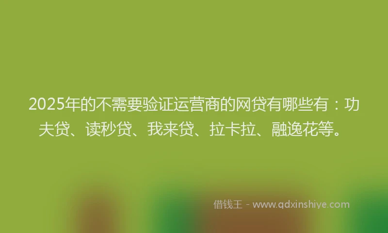 2025年的不需要验证运营商的网贷有哪些有：功夫贷、读秒贷、我来贷、拉卡拉、融逸花等。