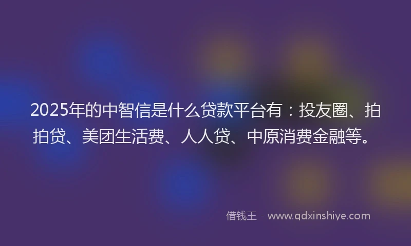 2025年的中智信是什么贷款平台有：投友圈、拍拍贷、美团生活费、人人贷、中原消费金融等。