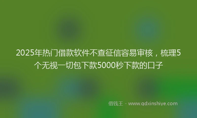 2025年热门借款软件不查征信容易审核，梳理5个无视一切包下款5000秒下款的口子
