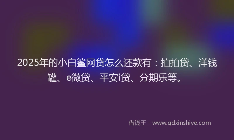 2025年的小白鲨网贷怎么还款有：拍拍贷、洋钱罐、e微贷、平安i贷、分期乐等。