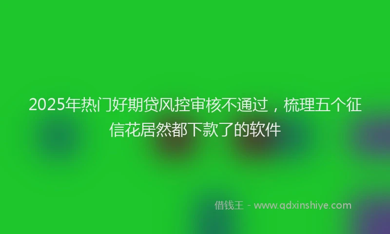 2025年热门好期贷风控审核不通过，梳理五个征信花居然都下款了的软件