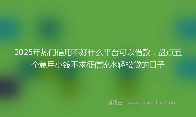 2025年热门信用不好什么平台可以借款，盘点五个急用小钱不求征信流水轻松贷的口子