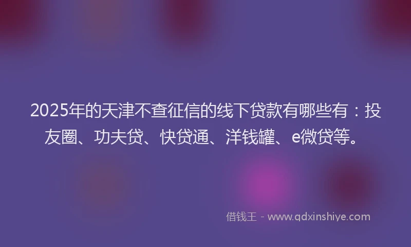 2025年的天津不查征信的线下贷款有哪些有：投友圈、功夫贷、快贷通、洋钱罐、e微贷等。
