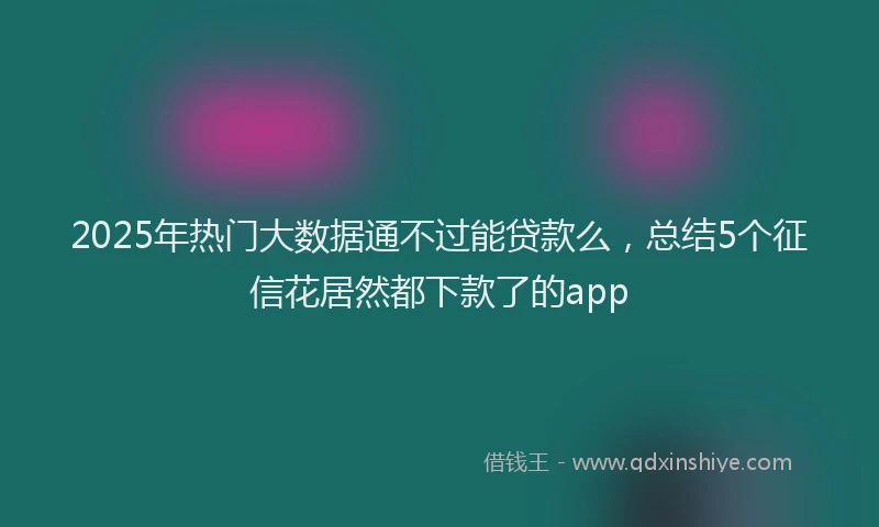 2025年热门大数据通不过能贷款么，总结5个征信花居然都下款了的app
