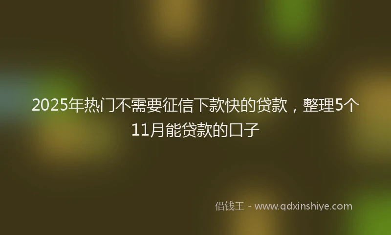 2025年热门不需要征信下款快的贷款，整理5个11月能贷款的口子