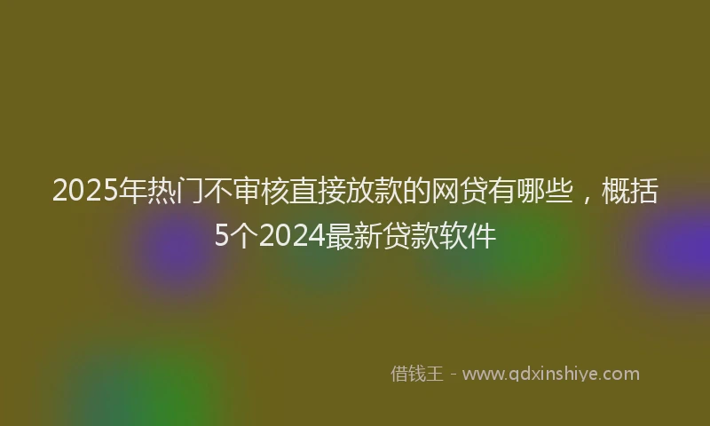 2025年热门不审核直接放款的网贷有哪些，概括5个2024最新贷款软件