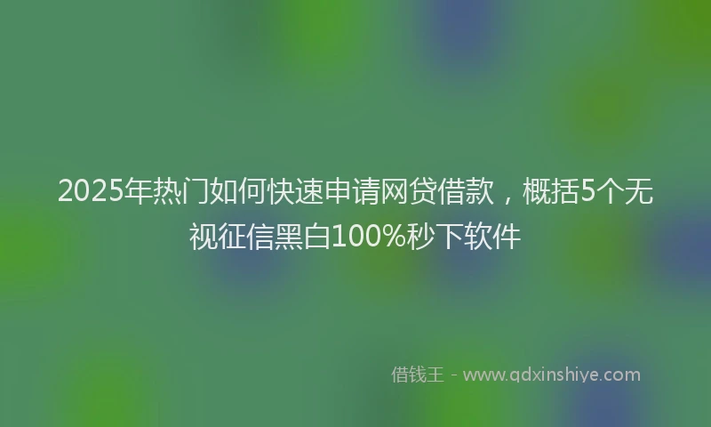 2025年热门如何快速申请网贷借款，概括5个无视征信黑白100%秒下软件