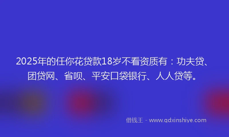 2025年的任你花贷款18岁不看资质有：功夫贷、团贷网、省呗、平安口袋银行、人人贷等。