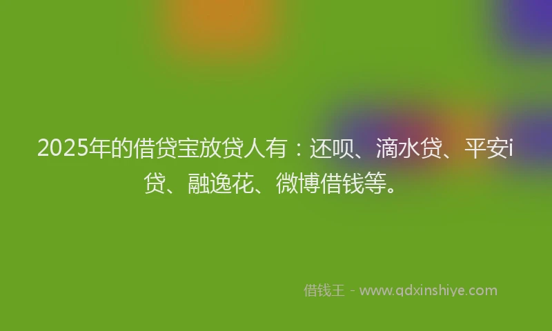 2025年的借贷宝放贷人有：还呗、滴水贷、平安i贷、融逸花、微博借钱等。