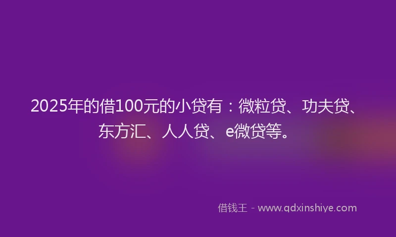 2025年的借100元的小贷有：微粒贷、功夫贷、东方汇、人人贷、e微贷等。