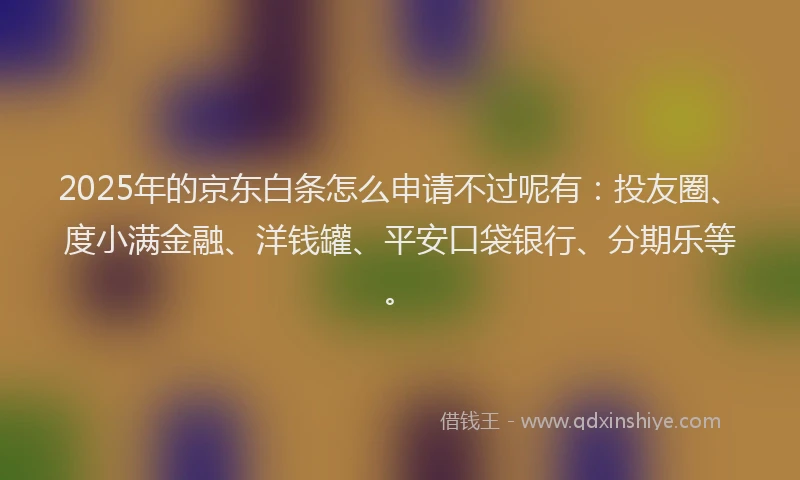 2025年的京东白条怎么申请不过呢有：投友圈、度小满金融、洋钱罐、平安口袋银行、分期乐等。