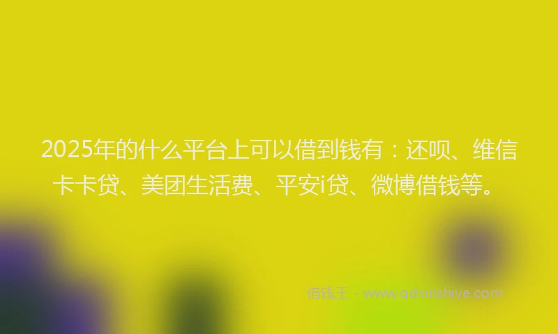 2025年的什么平台上可以借到钱有：还呗、维信卡卡贷、美团生活费、平安i贷、微博借钱等。