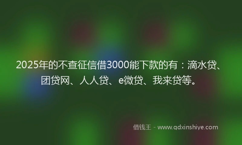 2025年的不查征信借3000能下款的有：滴水贷、团贷网、人人贷、e微贷、我来贷等。