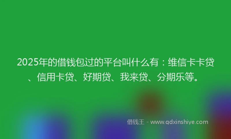 2025年的借钱包过的平台叫什么有：维信卡卡贷、信用卡贷、好期贷、我来贷、分期乐等。