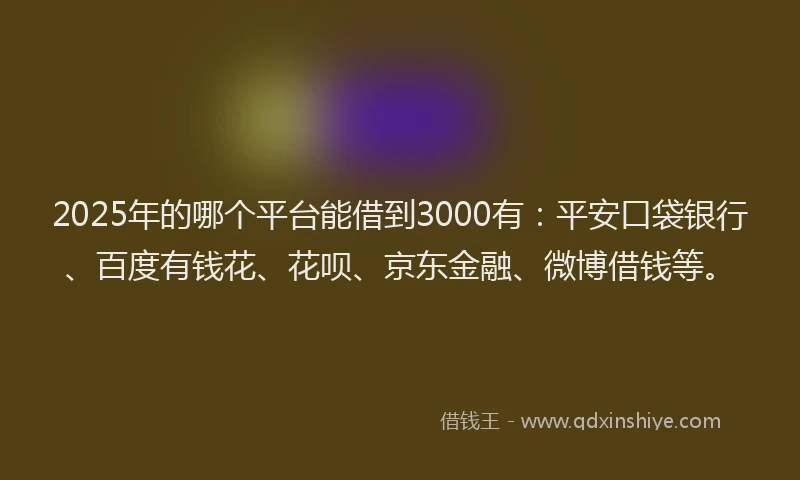 2025年的哪个平台能借到3000有：平安口袋银行、百度有钱花、花呗、京东金融、微博借钱等。