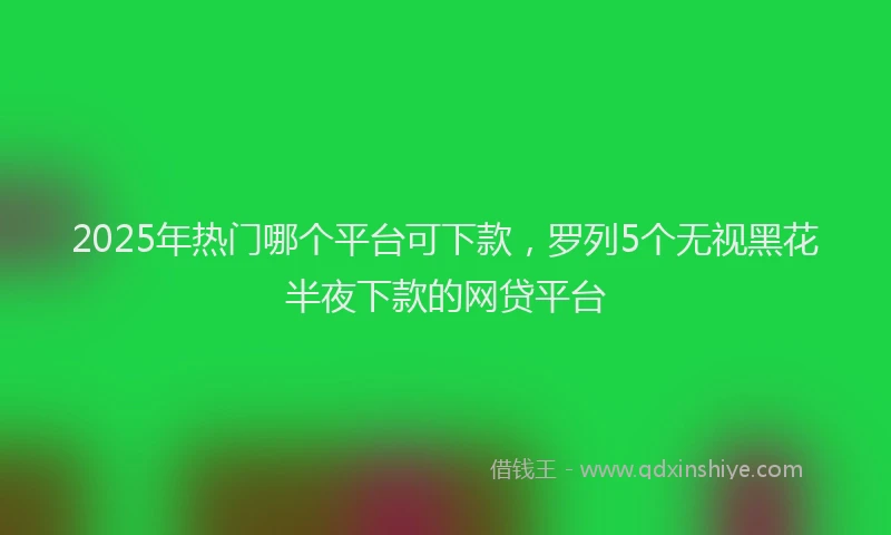 2025年热门哪个平台可下款，罗列5个无视黑花半夜下款的网贷平台