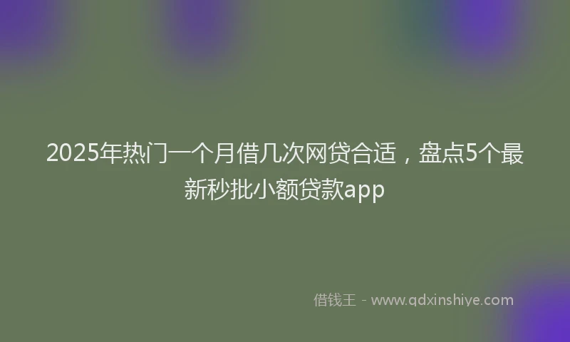 2025年热门一个月借几次网贷合适，盘点5个最新秒批小额贷款app