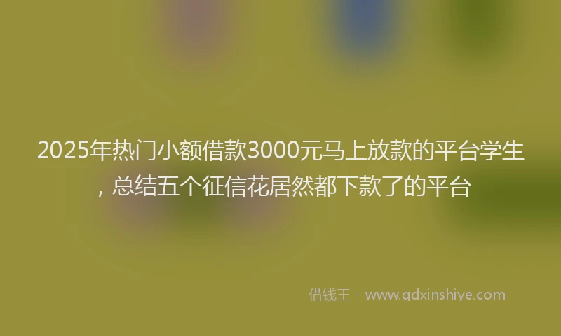 2025年热门小额借款3000元马上放款的平台学生，总结五个征信花居然都下款了的平台