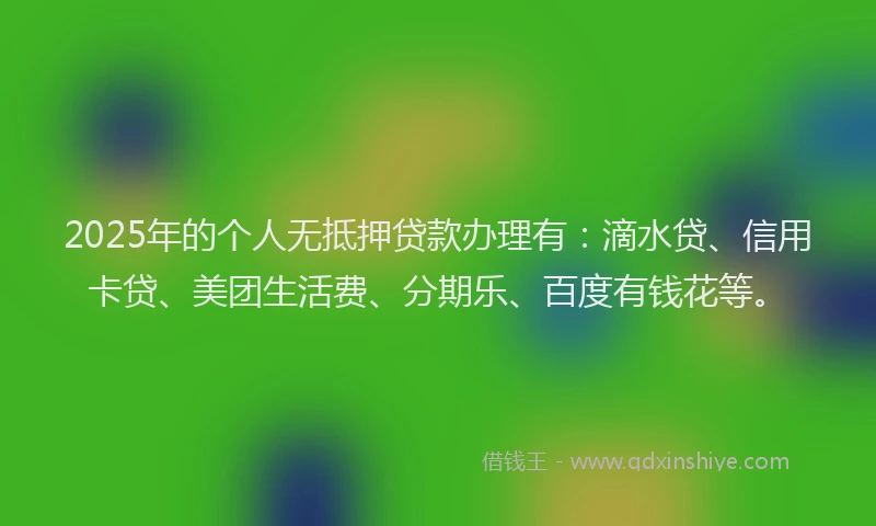 2025年的个人无抵押贷款办理有：滴水贷、信用卡贷、美团生活费、分期乐、百度有钱花等。