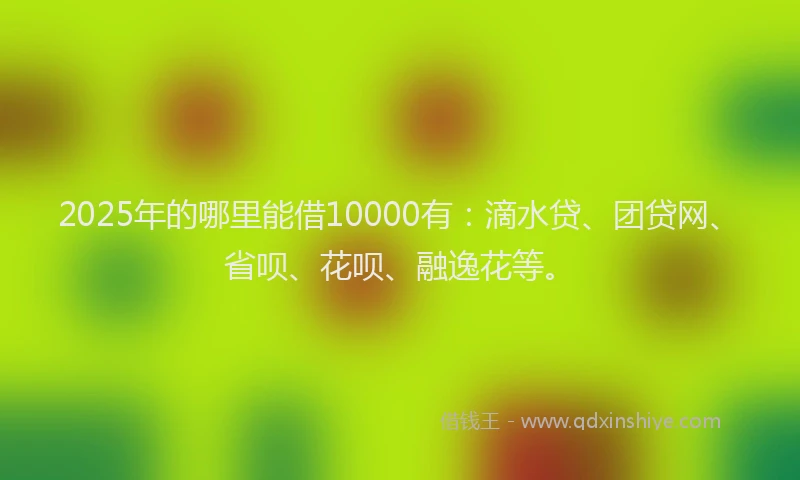 2025年的哪里能借10000有：滴水贷、团贷网、省呗、花呗、融逸花等。
