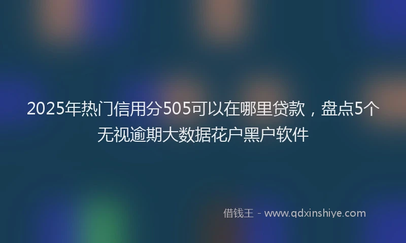 2025年热门信用分505可以在哪里贷款，盘点5个无视逾期大数据花户黑户软件