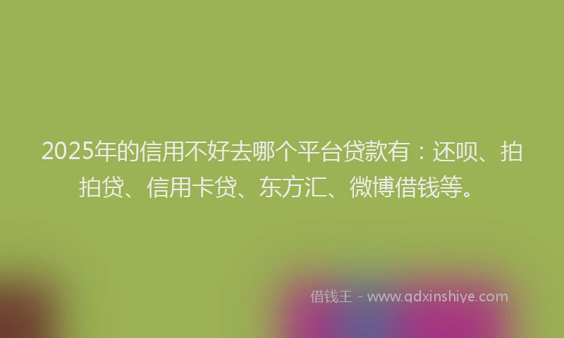 2025年的信用不好去哪个平台贷款有：还呗、拍拍贷、信用卡贷、东方汇、微博借钱等。