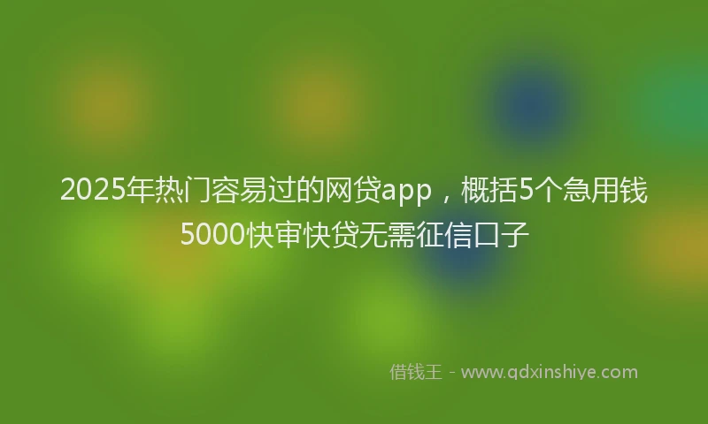 2025年热门容易过的网贷app，概括5个急用钱5000快审快贷无需征信口子