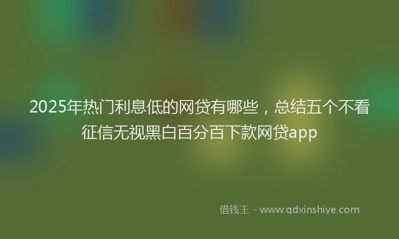 2025年热门利息低的网贷有哪些，总结五个不看征信无视黑白百分百下款网贷app