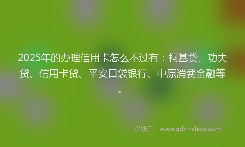 2025年的办理信用卡怎么不过有：柯基贷、功夫贷、信用卡贷、平安口袋银行、中原消费金融等。