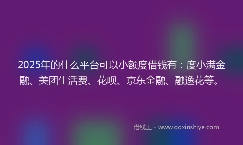 2025年的什么平台可以小额度借钱有：度小满金融、美团生活费、花呗、京东金融、融逸花等。