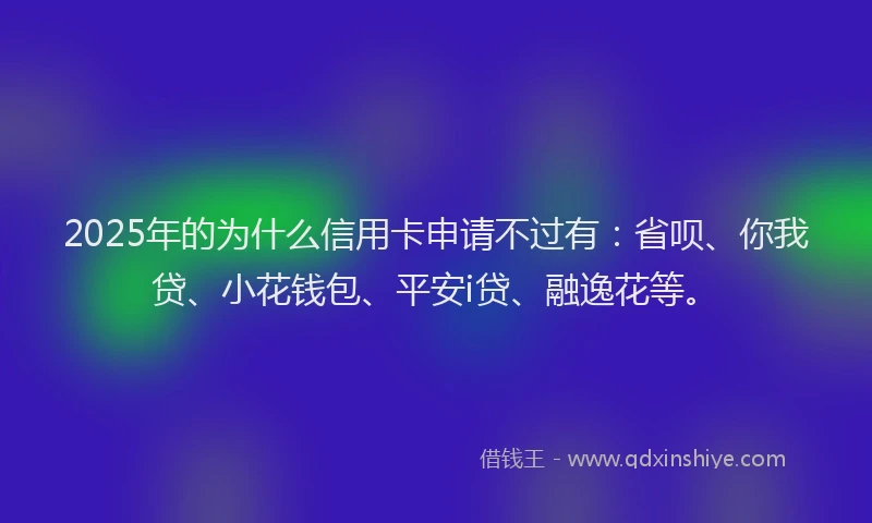 2025年的为什么信用卡申请不过有：省呗、你我贷、小花钱包、平安i贷、融逸花等。