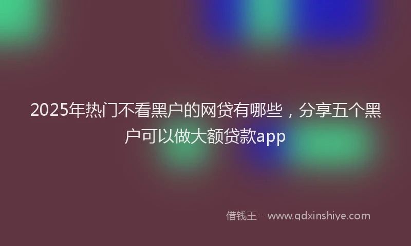 2025年热门不看黑户的网贷有哪些，分享五个黑户可以做大额贷款app
