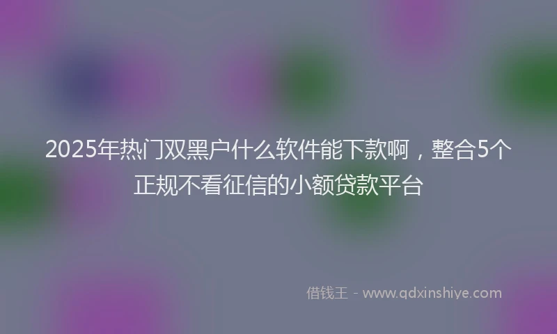 2025年热门双黑户什么软件能下款啊，整合5个正规不看征信的小额贷款平台