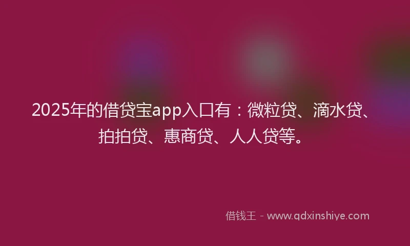 2025年的借贷宝app入口有：微粒贷、滴水贷、拍拍贷、惠商贷、人人贷等。