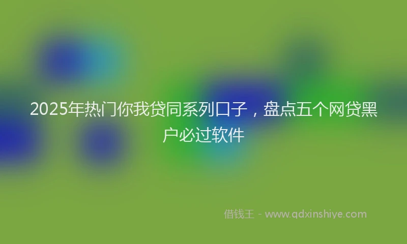2025年热门你我贷同系列口子，盘点五个网贷黑户必过软件