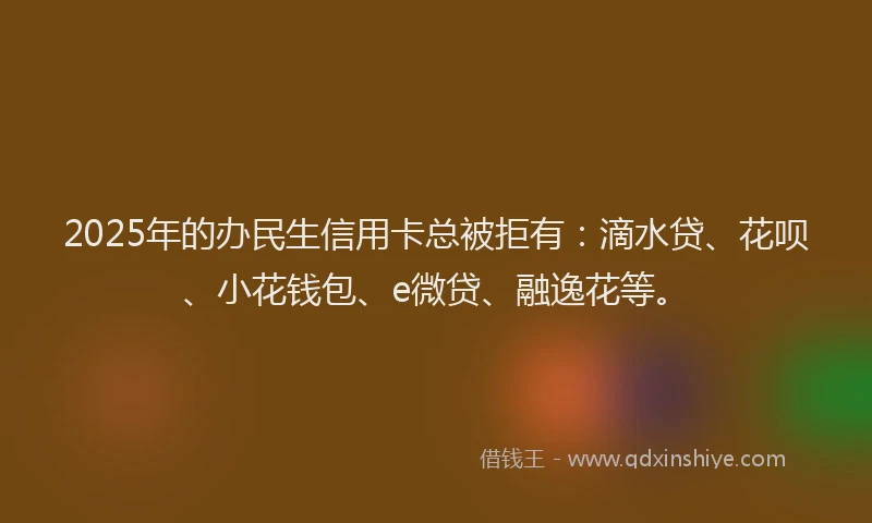 2025年的办民生信用卡总被拒有：滴水贷、花呗、小花钱包、e微贷、融逸花等。
