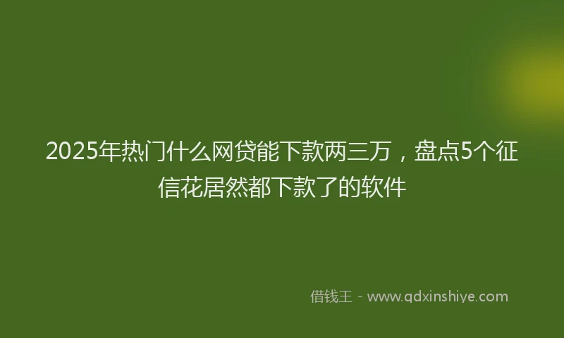 2025年热门什么网贷能下款两三万，盘点5个征信花居然都下款了的软件