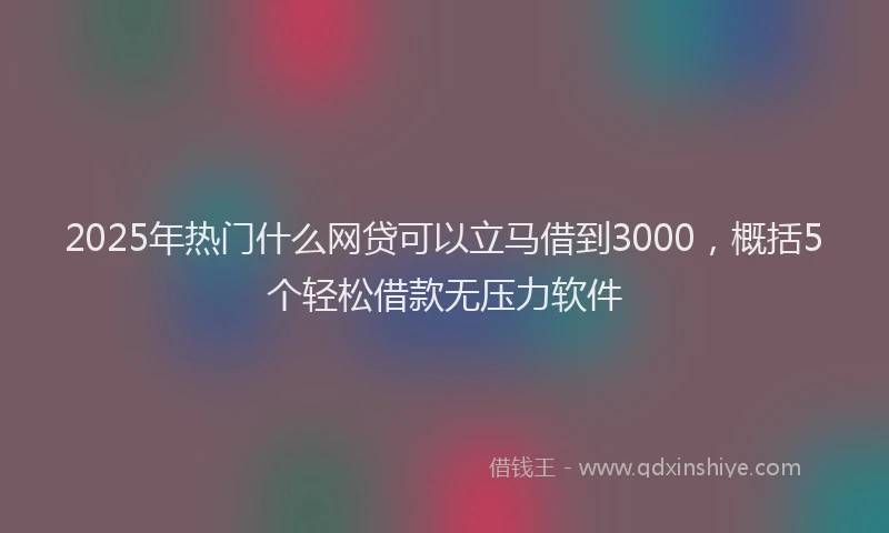 2025年热门什么网贷可以立马借到3000，概括5个轻松借款无压力软件