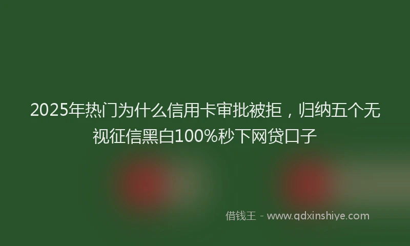 2025年热门为什么信用卡审批被拒，归纳五个无视征信黑白100%秒下网贷口子
