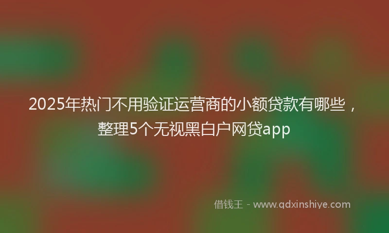 2025年热门不用验证运营商的小额贷款有哪些，整理5个无视黑白户网贷app
