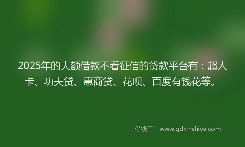 2025年的大额借款不看征信的贷款平台有：超人卡、功夫贷、惠商贷、花呗、百度有钱花等。