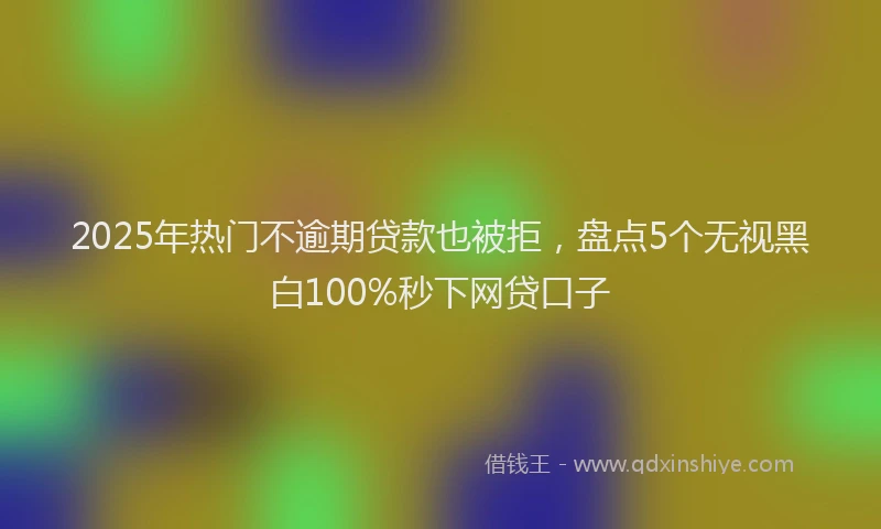 2025年热门不逾期贷款也被拒，盘点5个无视黑白100%秒下网贷口子