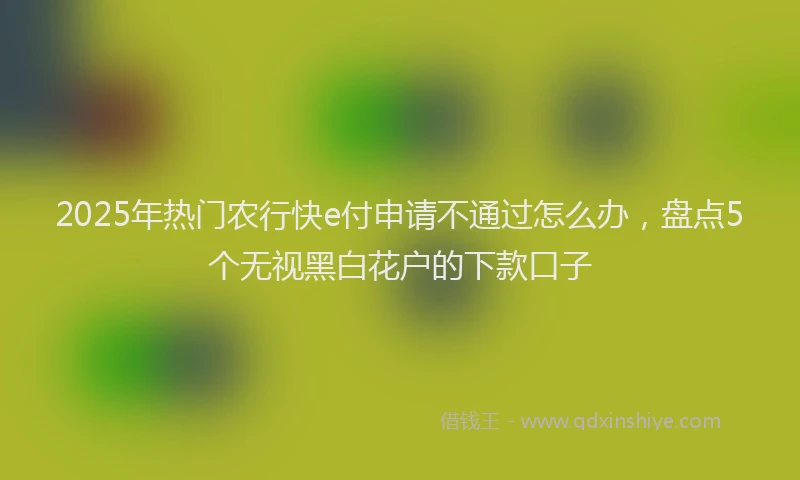 2025年热门农行快e付申请不通过怎么办，盘点5个无视黑白花户的下款口子