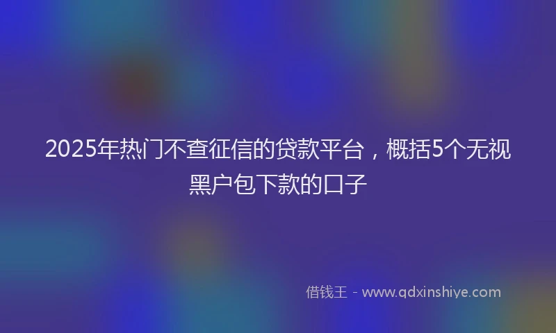 2025年热门不查征信的贷款平台，概括5个无视黑户包下款的口子