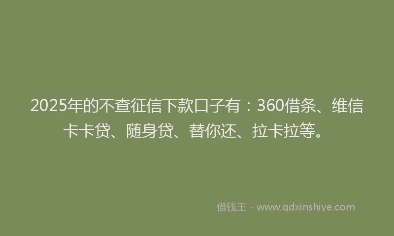 2025年的不查征信下款口子有：360借条、维信卡卡贷、随身贷、替你还、拉卡拉等。